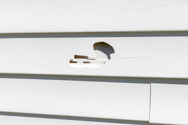 Best Composite Siding  in Fairmount, GA