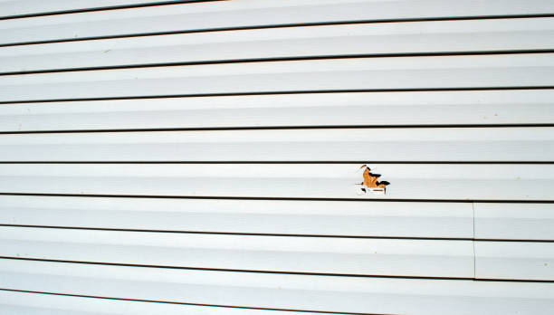 James Hardie Siding in Fairmount, GA